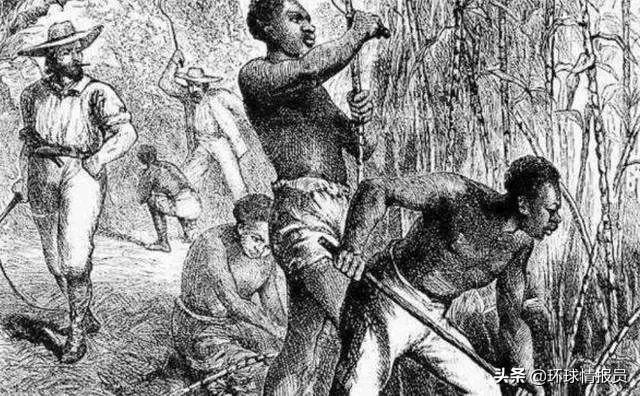 苏里南为什么是荷兰的,荷兰发展苏里南