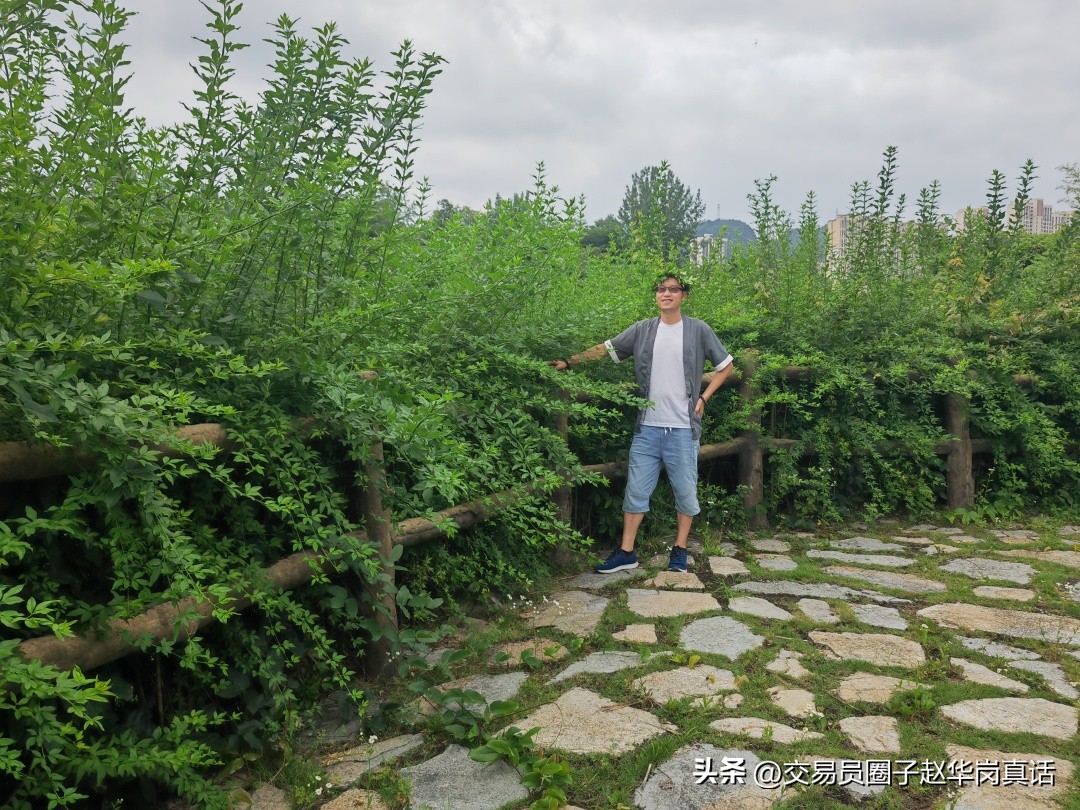 交易者开窍,一个交易者悟道后遍地都是机会