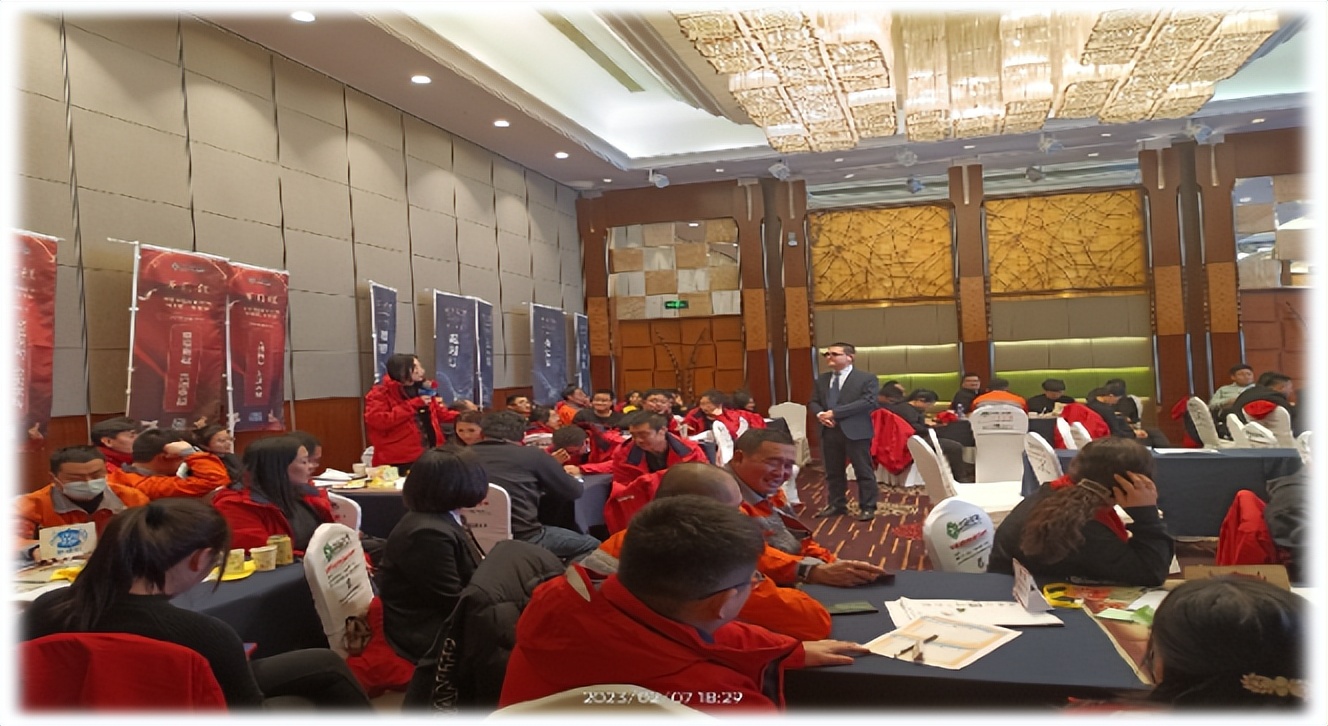 杨爱新老师,杨爱新沙盘