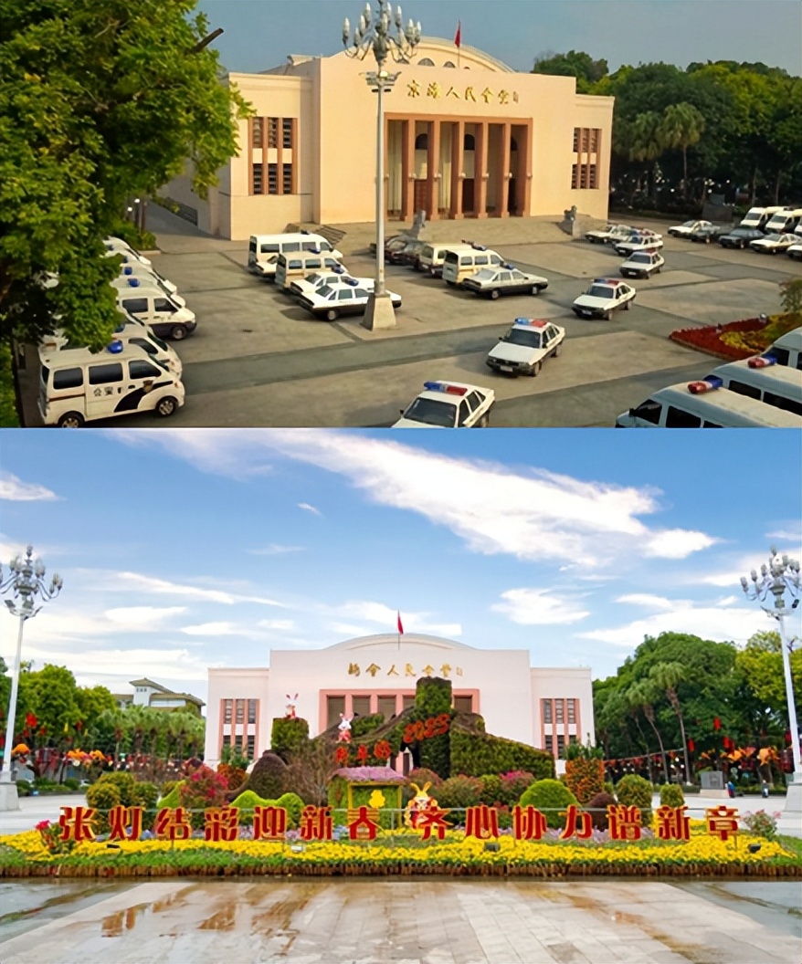 高启强,在“京海”卖鱼真的可以发家!