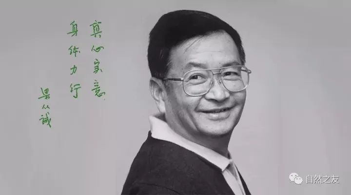 梁思成林徽因创办营造学社,梁思成在营造学社的成就