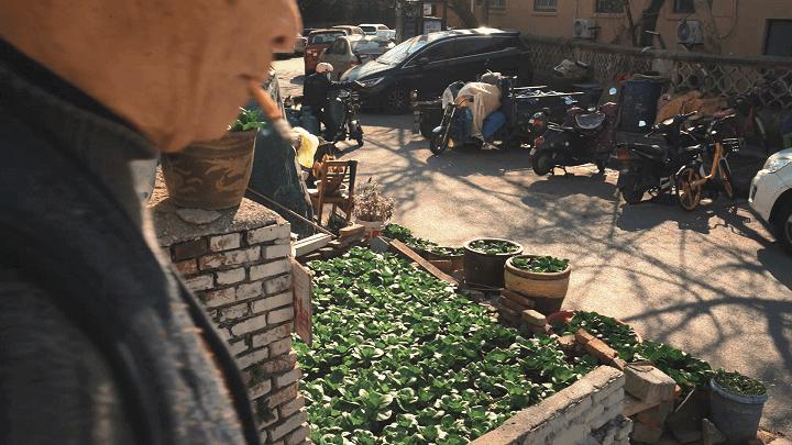 南京东山老鹅哪里最好,南京江宁区老鹅