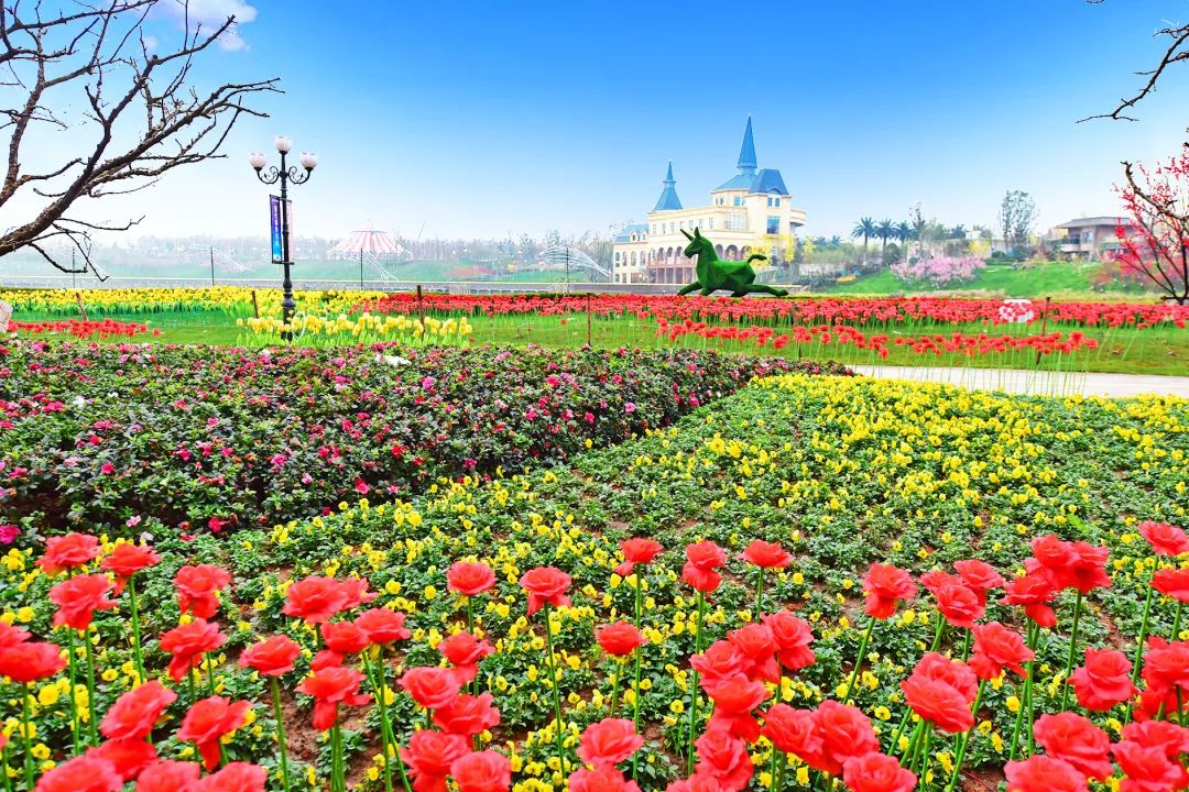 武汉市恒大科技旅游城120平米,武汉恒大江夏科技旅游城最新进展