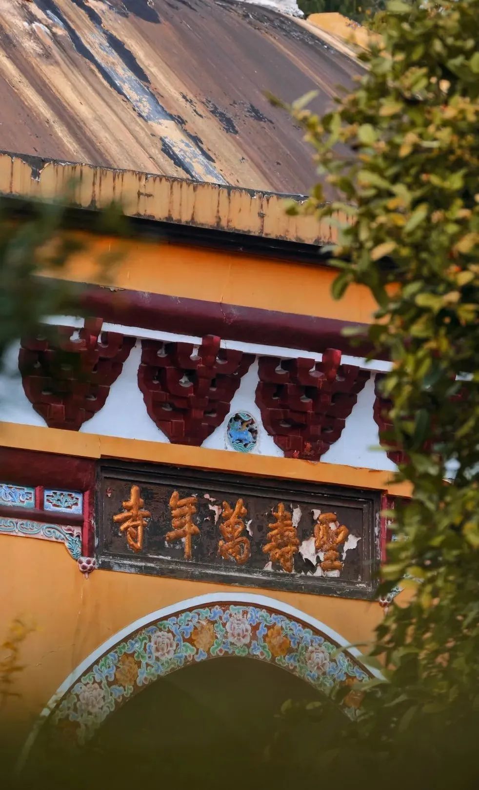 2020五一峨眉山开放的景点,五一峨眉山旅游攻略