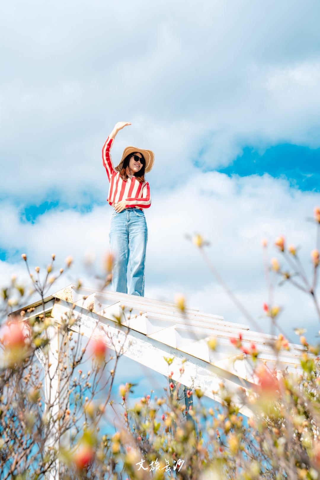 娴忛槼鐑熻姳鏃呰,鏄熷煄鏃呮父鏀荤暐