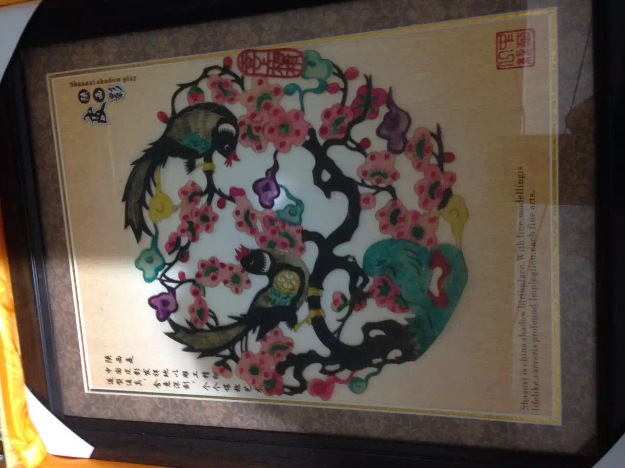 多伦多园丁猴哥猴嫂年龄,多伦多园丁猴哥3月份视频