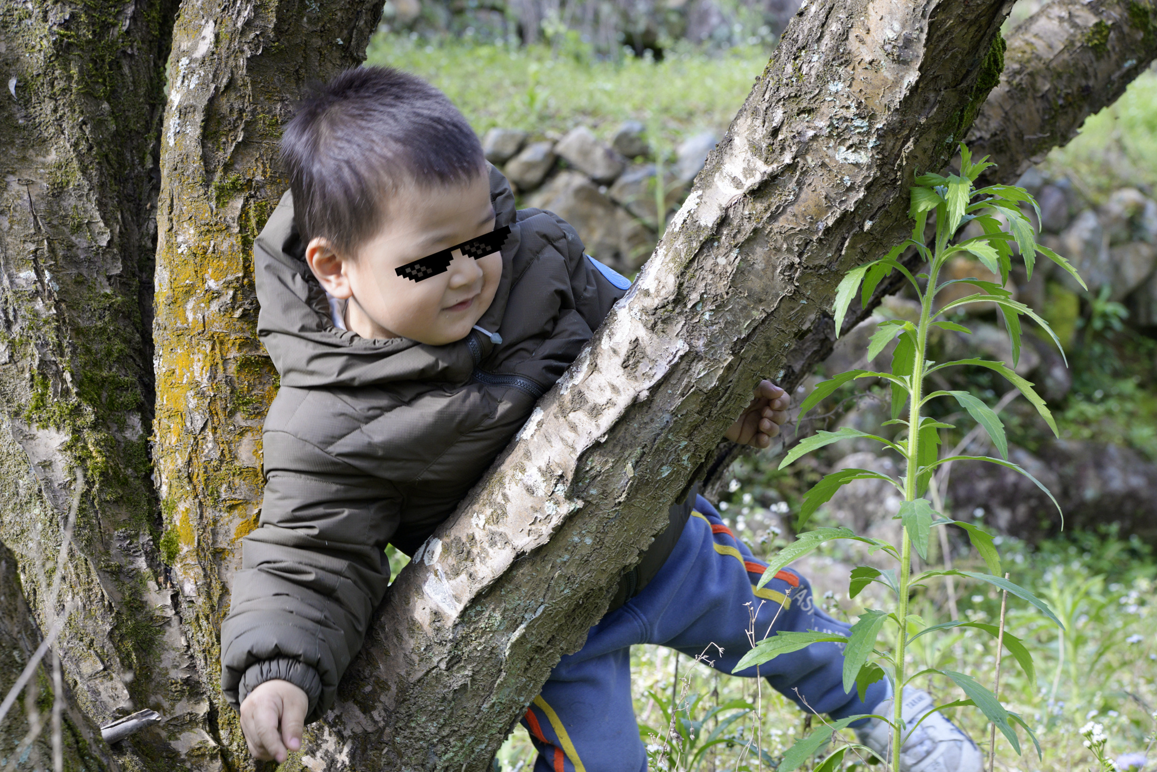 国产跟黑冰一个档次羽绒服,国货之光轻薄羽绒