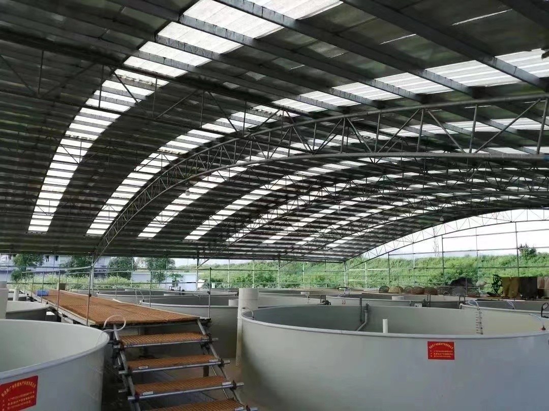 清新桂花鱼之乡,好吃的桂花鱼