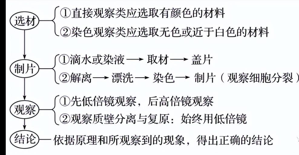 二轮复习生物实验视频,二轮生物复习研讨