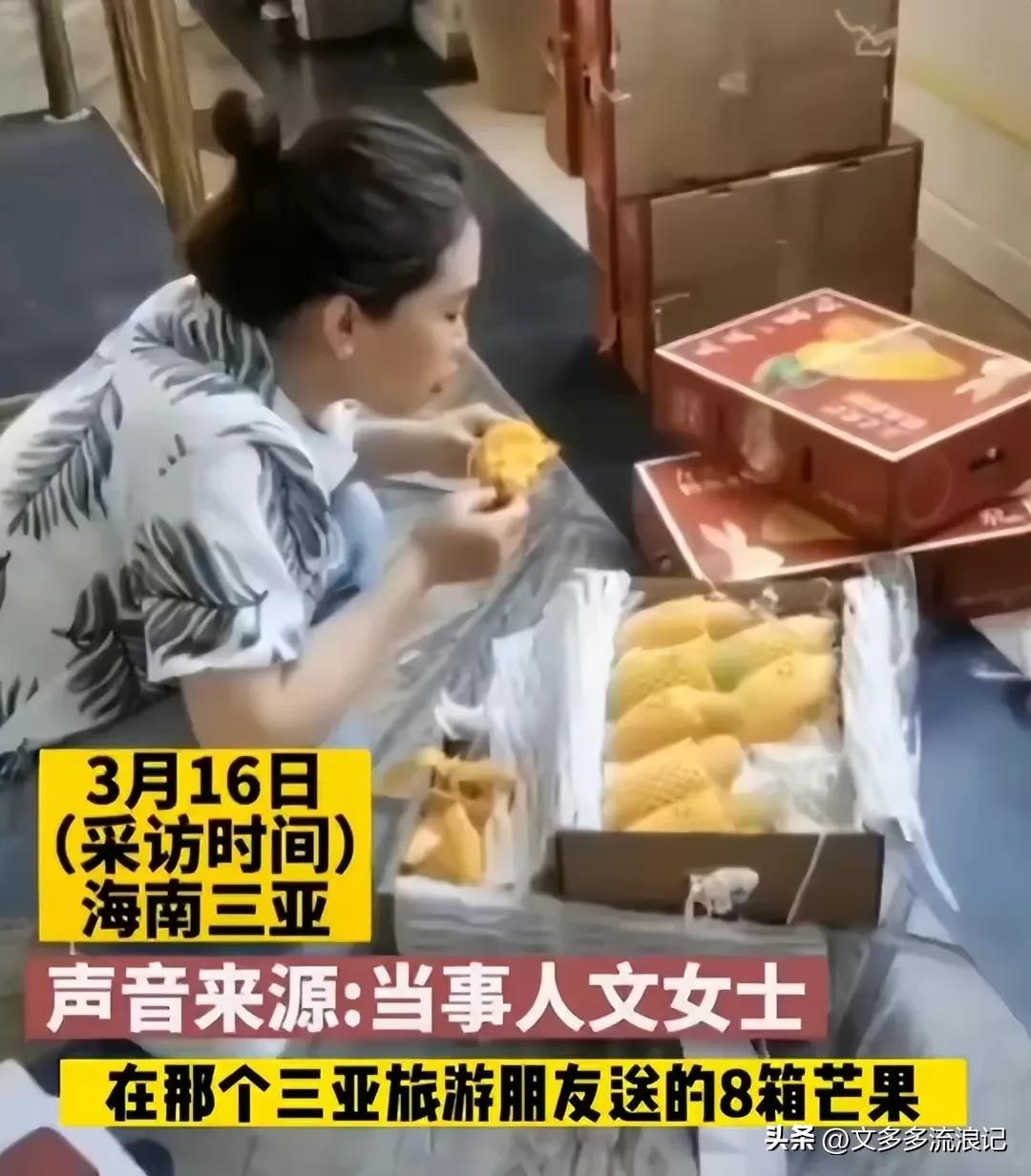 8箱芒果托运980女子当场吃完,芒果10斤一箱快递费多少钱