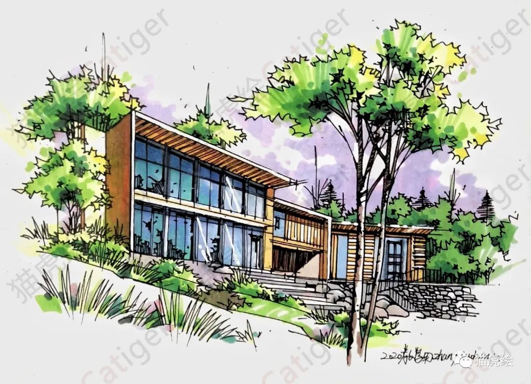 2022猫虎绘暑假手绘班招生简章「线上+线下」