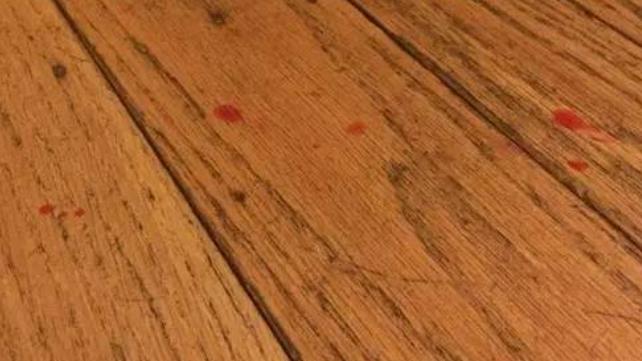 狗狗会来大姨妈吗？