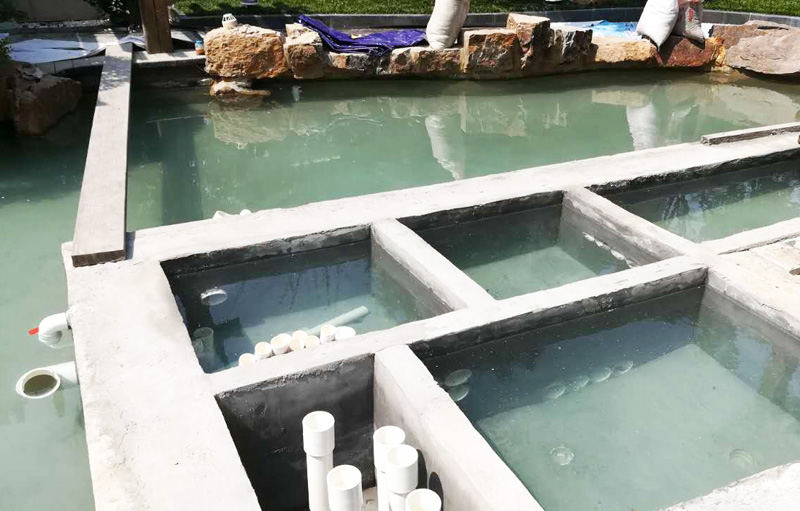 新鱼池脱碱最佳方法,鱼池脱碱要开过滤吗