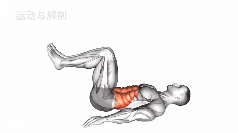 零基础居家健身动作教学,家庭健身动作教程动图