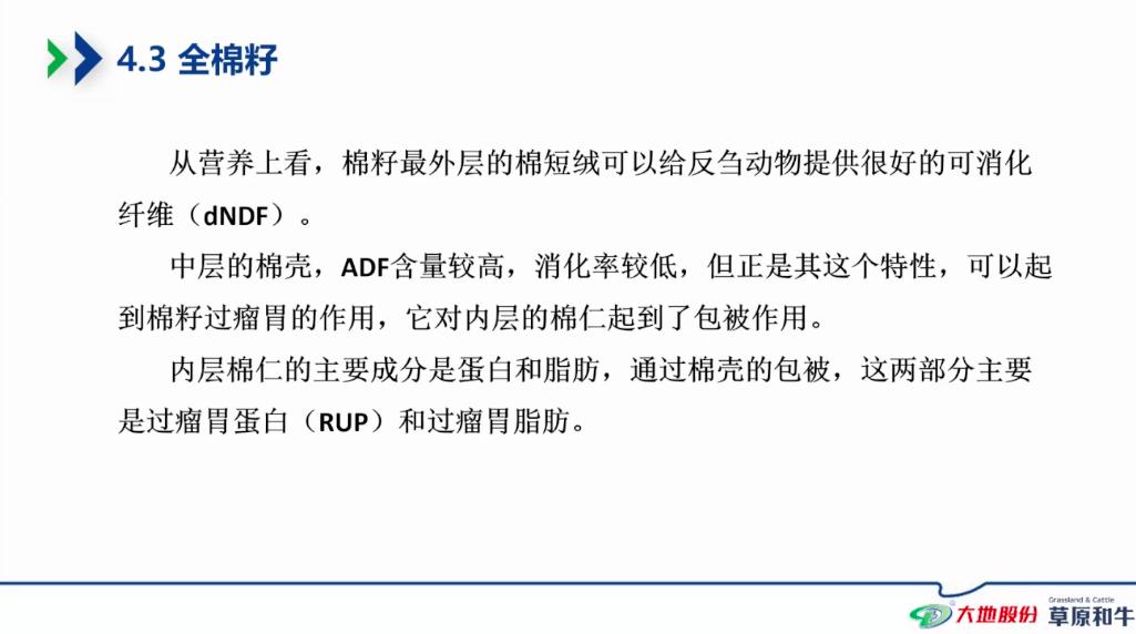 九州大地王岗博士,九州大地生物技术