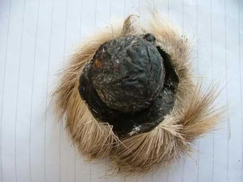 麝香很珍稀吗,麝香天然香