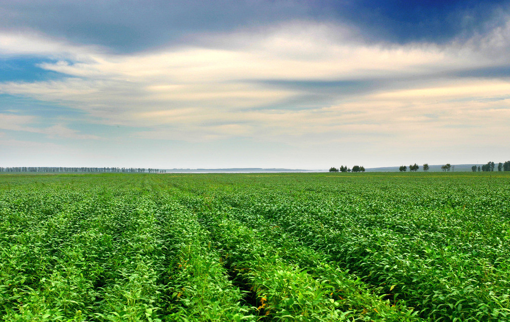 冰雪运动燃情冬奥,2022年冰雪运动点燃冬奥激情