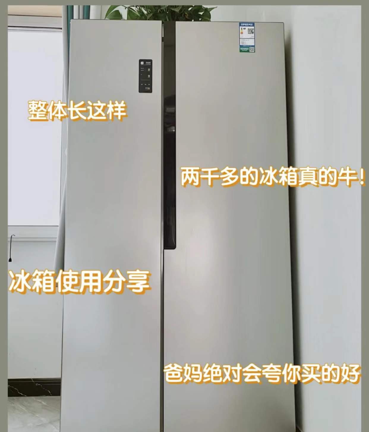 高价冰箱和平价冰箱的区别,上万元的家电