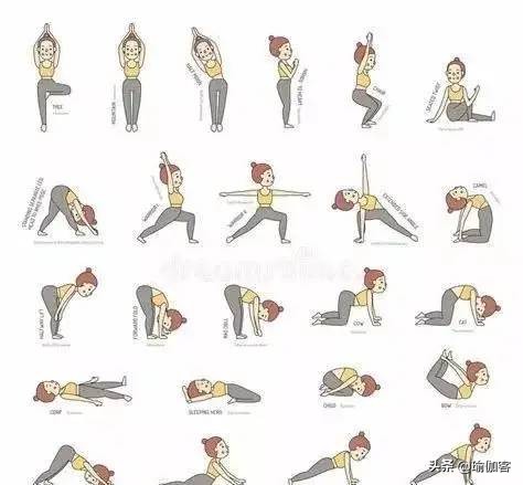 基础哈他瑜伽排课体式小人图,瑜伽体式小人图全套