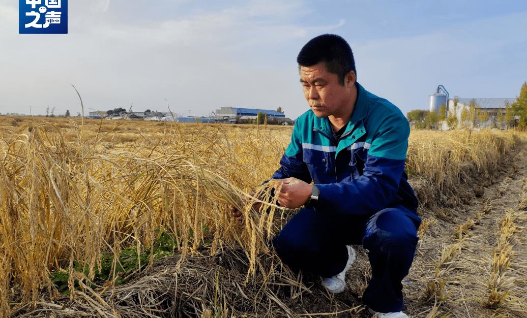 “你是黑龙江那个二亮吗？”他当起了大米带货主播