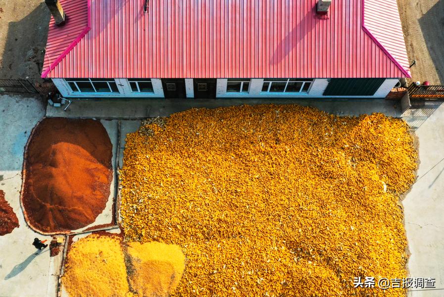 古城粮丰季，仓廪俱盈实！洮南市迈入全省前十产粮大县行列