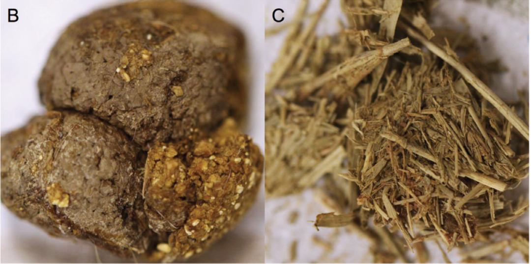 拉一次大便有两斤吗,拉一次屎能排多少毒