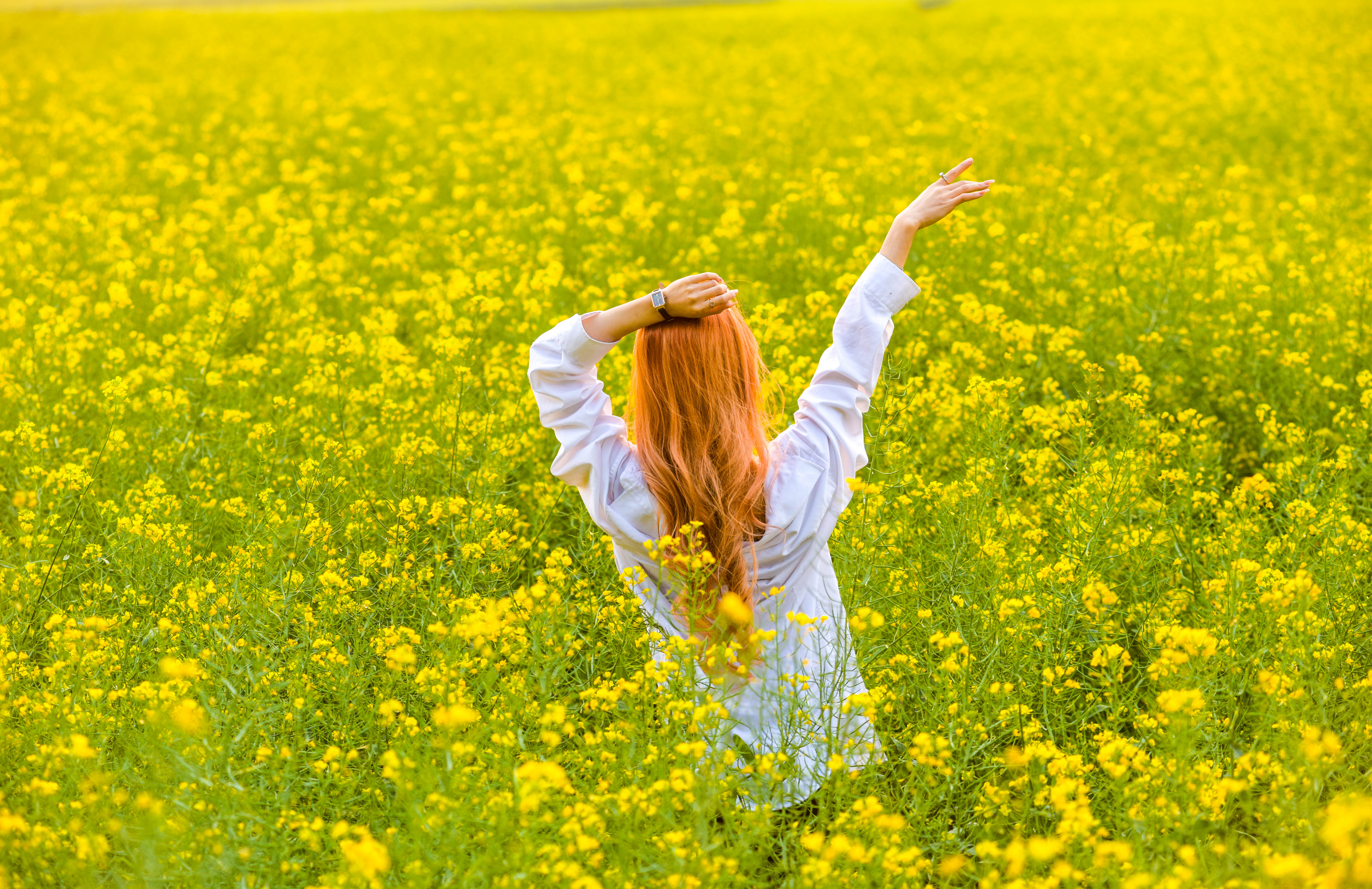 潼南油菜花旅游攻略,美好春日潼南赏花地图快来get