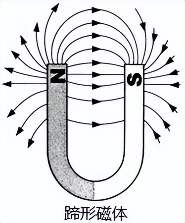 科学知识大全小学生必背,科学知识大全全集