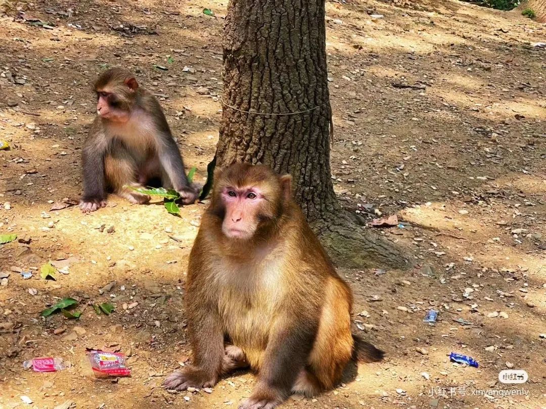 信阳南湾湖一日游详细攻略,信阳三日游攻略