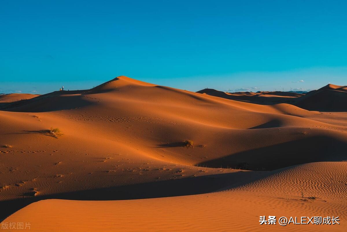 兄弟姐妹关系再好也不要做5件事,兄弟姐妹之间最好不要有经济来往