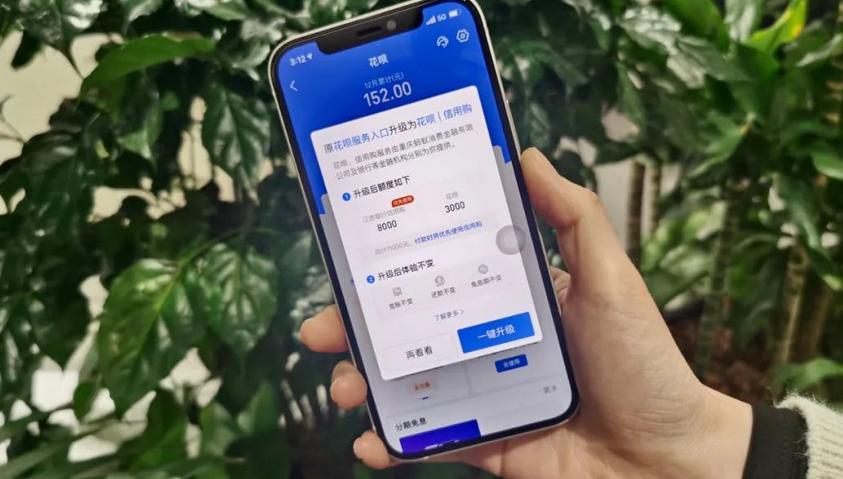 冒用蚂蚁花呗如何定性,冒用花呗借呗如何定罪