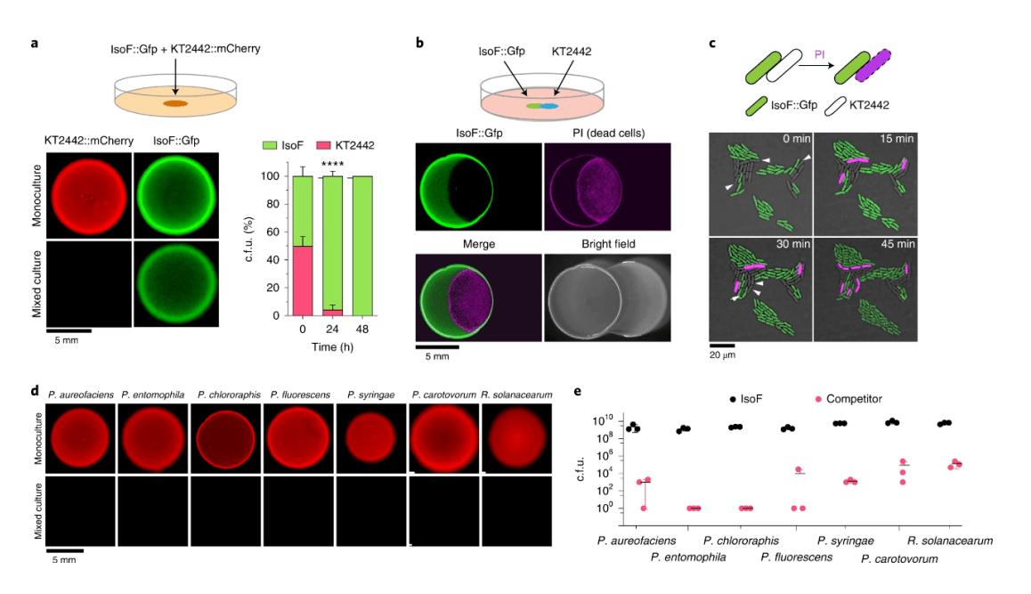 研究菌群,研究肠道微生物的生态学意义