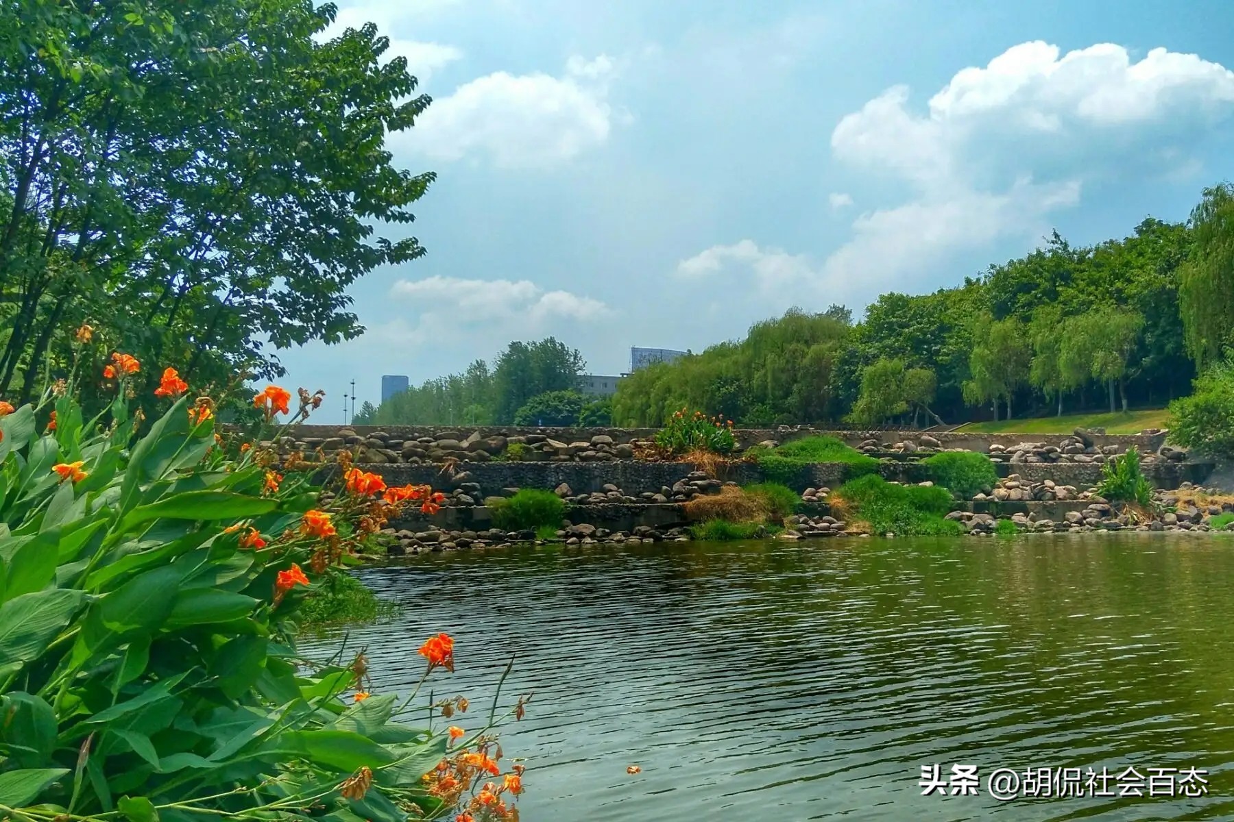 女子开直播没赚钱，约一老年粉丝求打赏，俩人见面后有了不雅之举