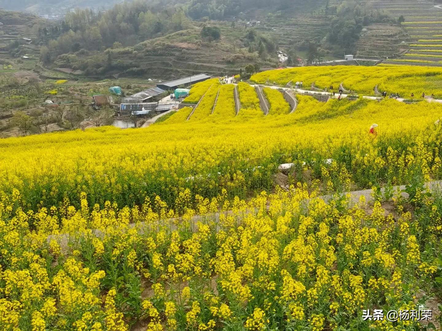 七律人生感悟二十八首,最经典的七律20首