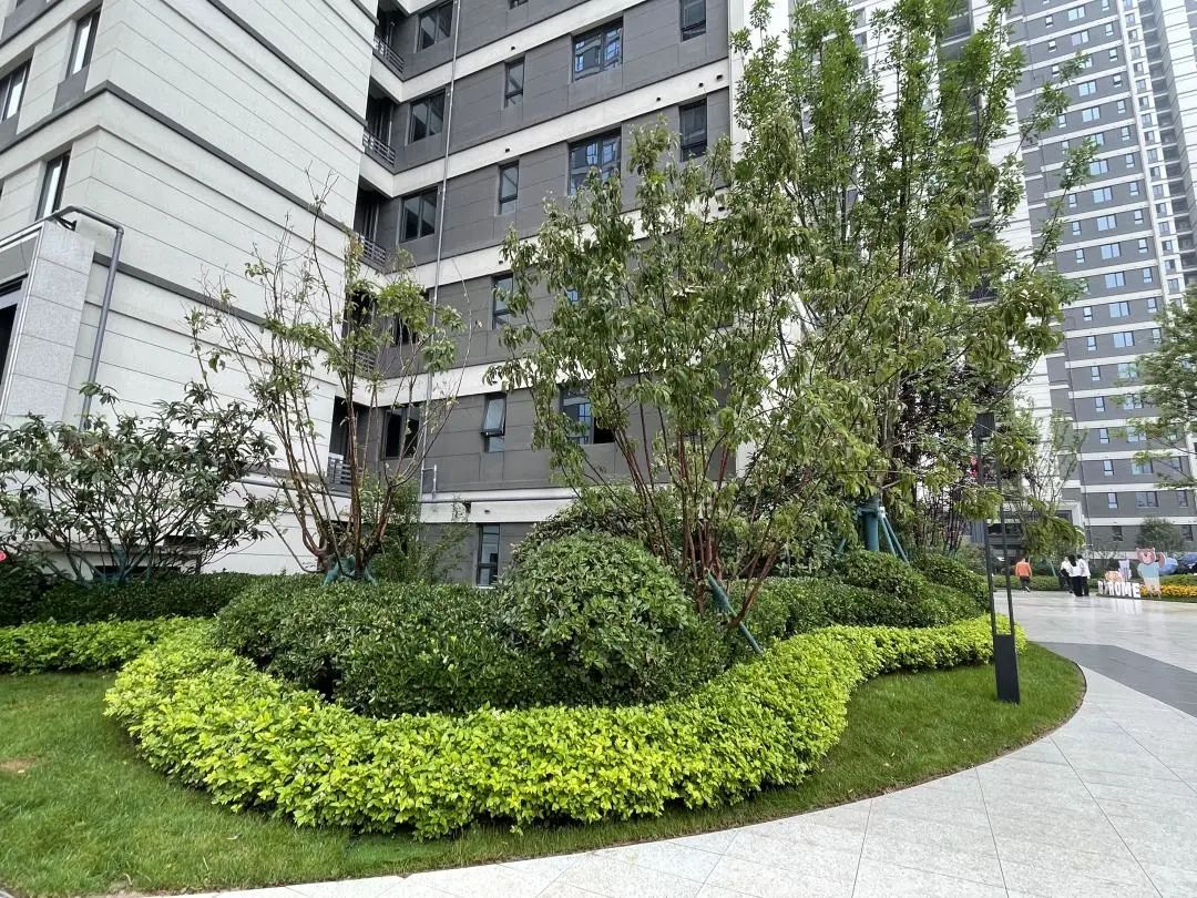 旭辉国宸府延期,房住不炒不等于房价不涨