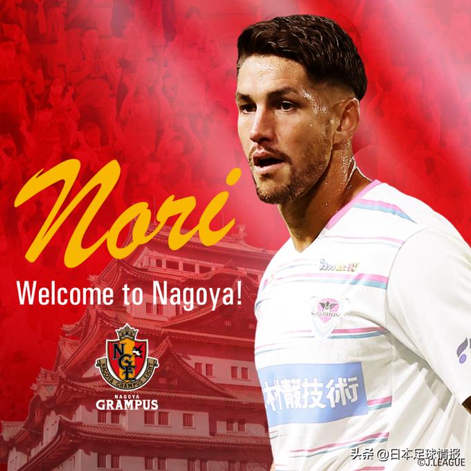 日职联巡礼2024,2024赛季日职联各队巡礼