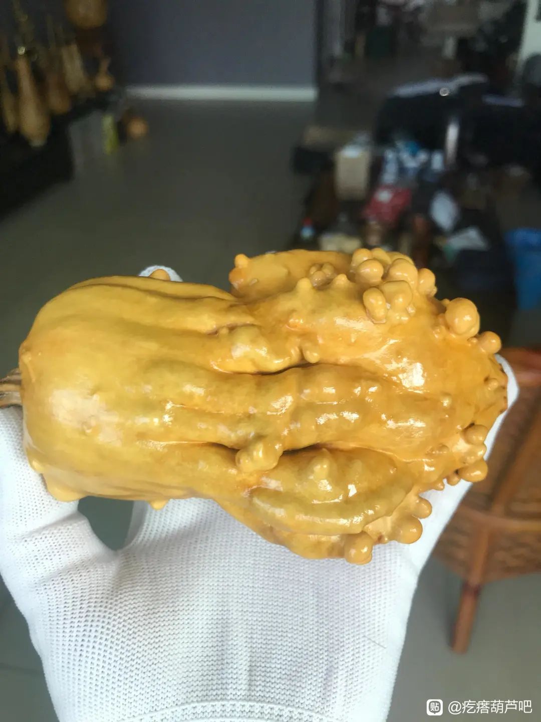 葫芦案真实案件,葫芦案事件始末