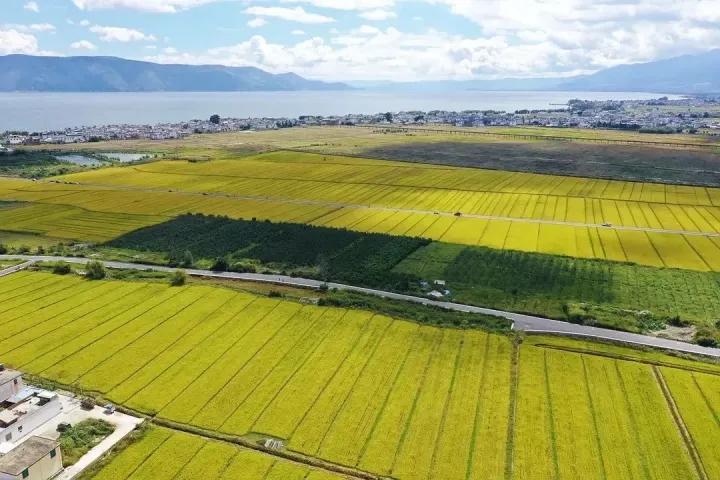 给你100万怎样实现财富自由,100万本金赚一个亿