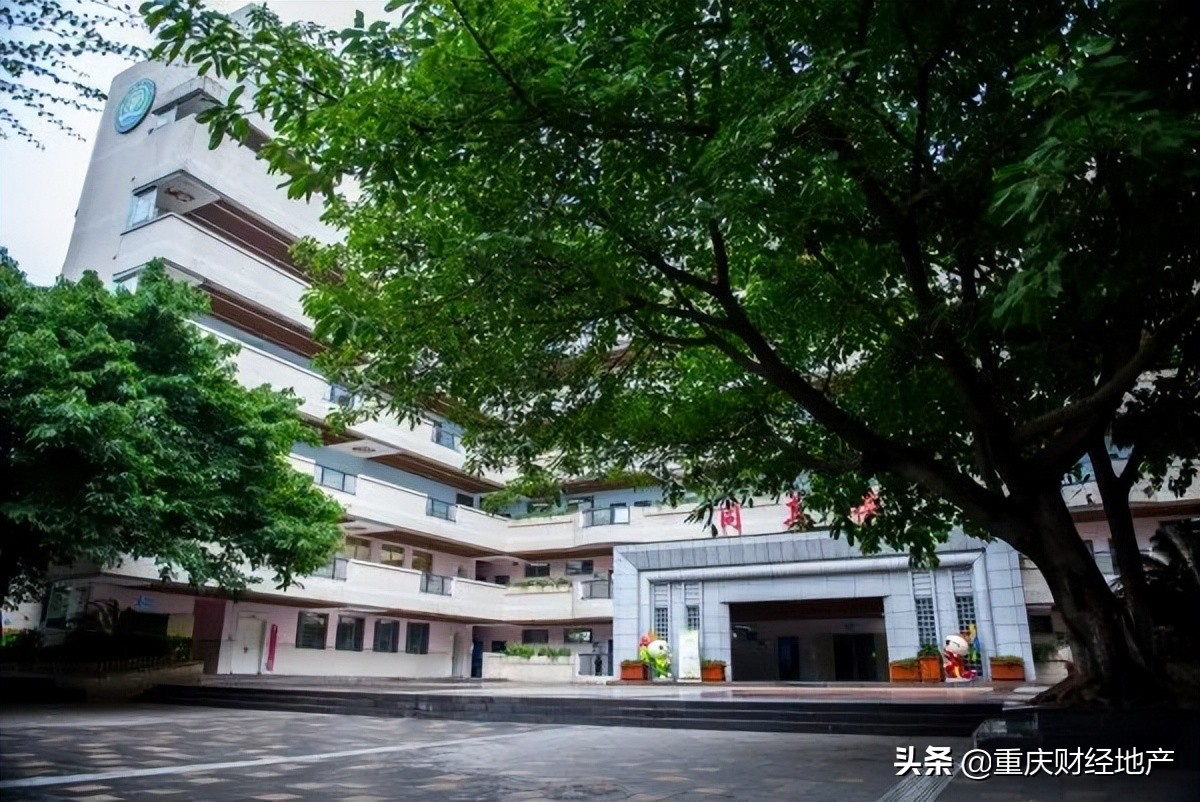 渝中区和沙坪坝哪个教育好,重庆渝中和渝北哪个好