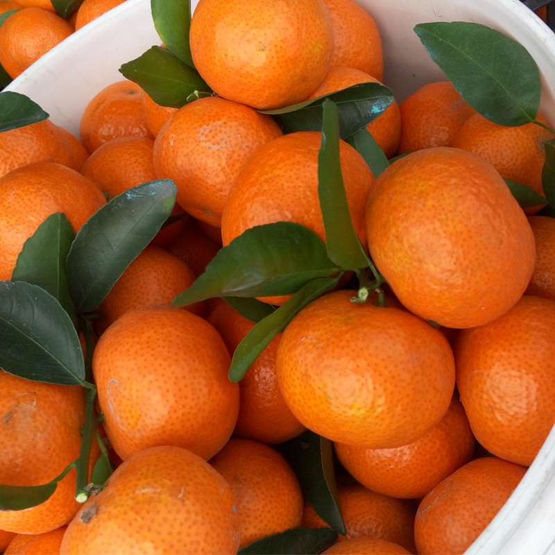 过年买水果，别总买桔子和苹果，多买这4种水果，大人小孩都爱吃