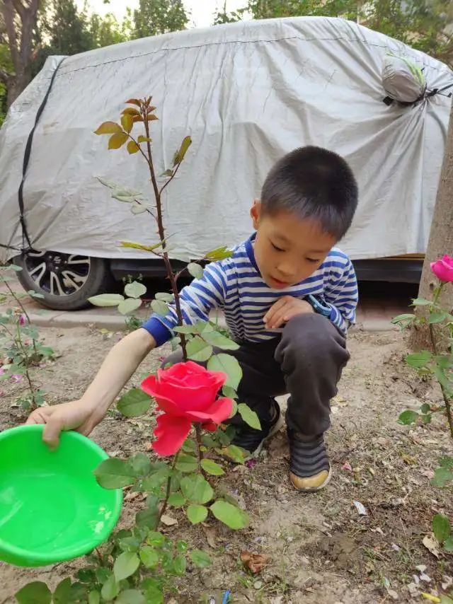 丰台西马金润小学怎么样,丰台西马金润小学