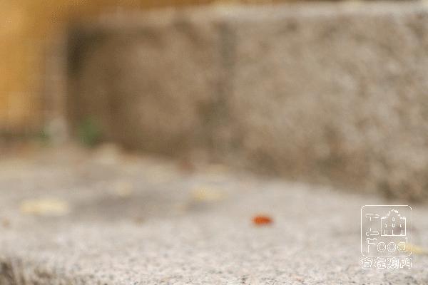 中山澳门街头小吃推荐店,澳门性价比小吃店推荐