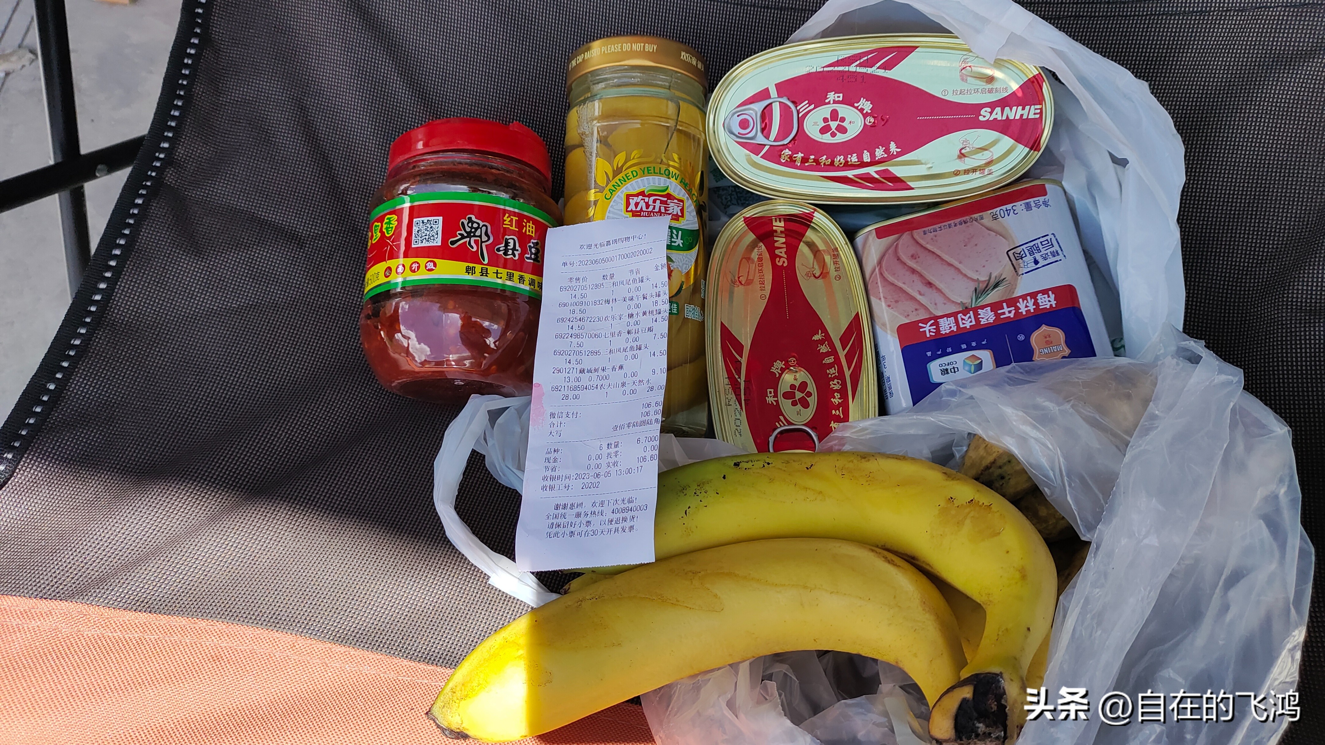 成都出发318进317出，单人单车自驾阿里，27天8千公里用了这个价