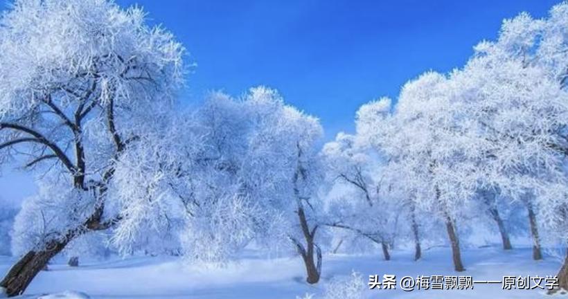 长篇当代军旅小说《军之恋·清冬栀子》（35）