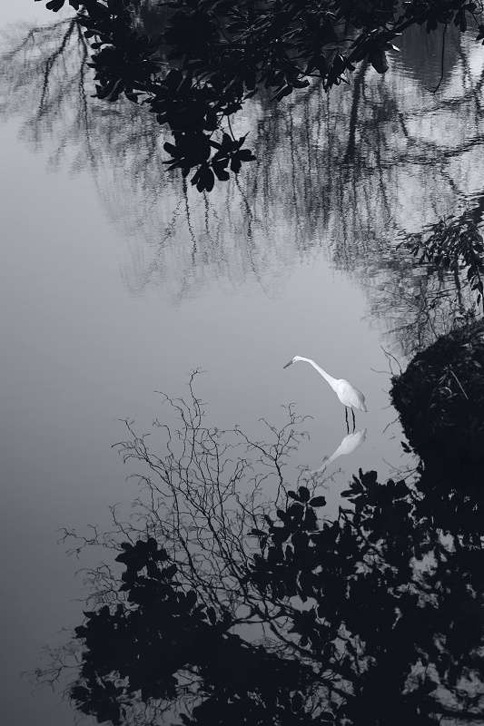 杭州四湖代表什么数字,最能代表新杭州的是什么