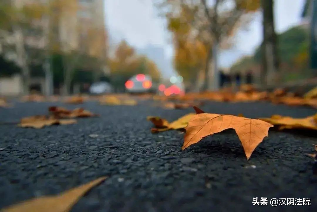 中国*产党共**第二十次全国代表大会今日开幕【10月16日周日新闻速览一分钟】