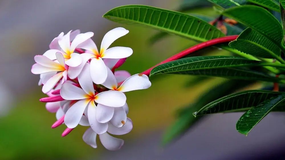 道的认知,道的七种层次