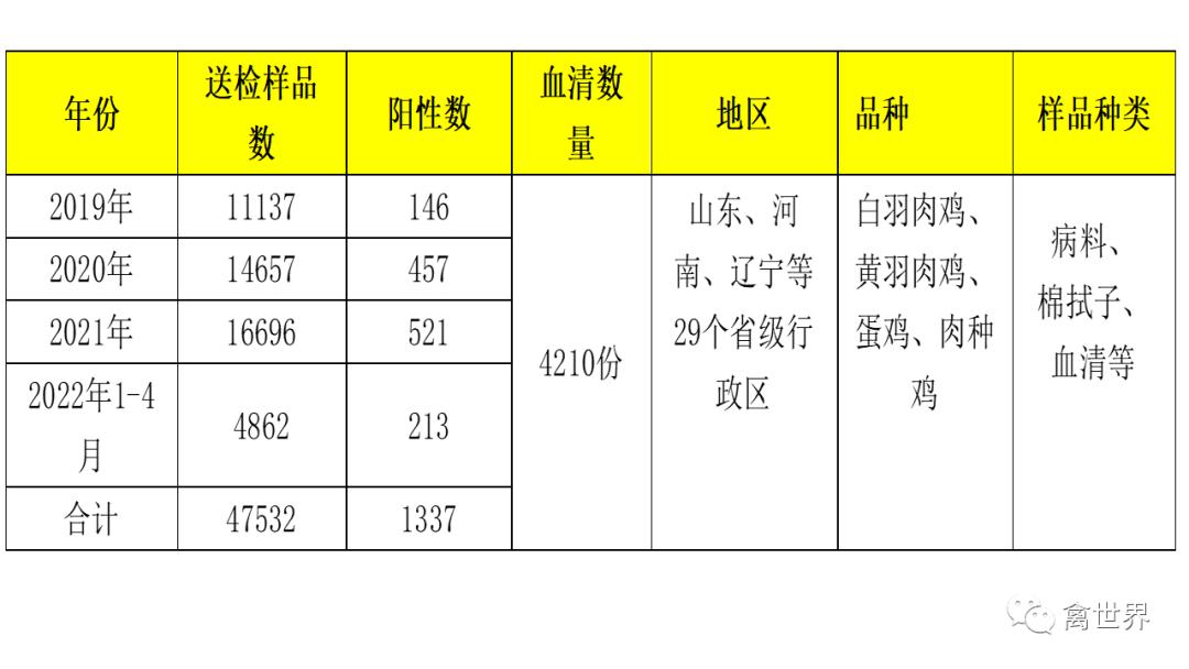 大数据｜2019年-2022年4月我国鸡滑液囊支原体流行病学调查报告