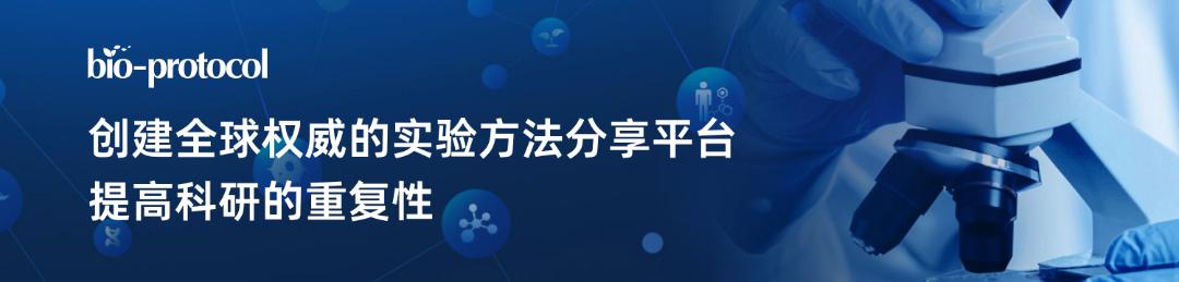crispr蛋白质,crispr最新成果