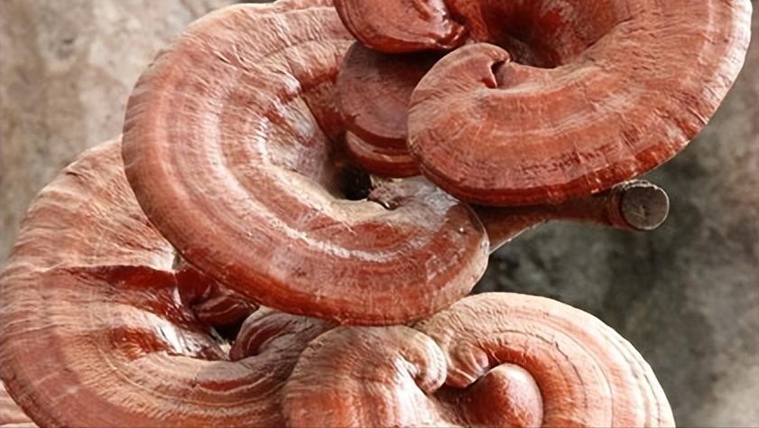 睡觉时身体突然抖一下原因是什么,睡觉中身体突然抖一下是什么原因